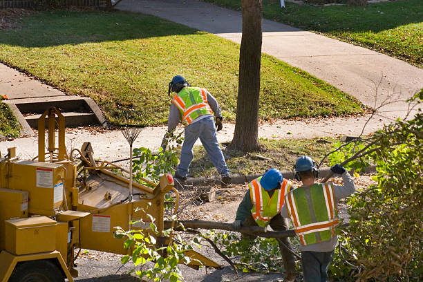 Best Lawn Mowing Services  in Ashburn, GA